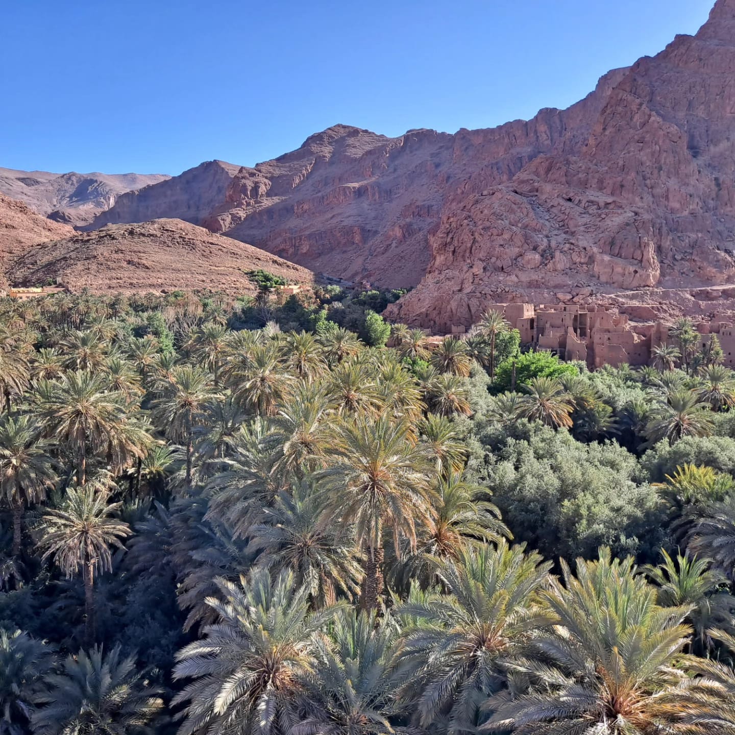 Hot air balloon floating above Boumalne Dadès palm valleys and ochre mountains