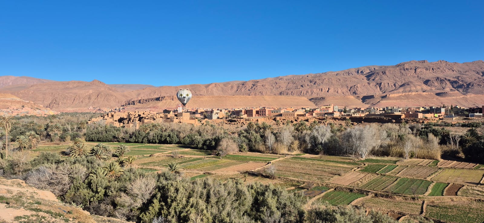 Ouarzazate palm valley panorama from a balloon